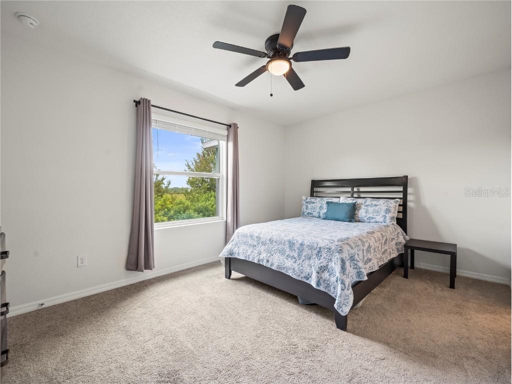 2886 Suncoast Plains Drive Odessa FL 33556 TB8417786 image20