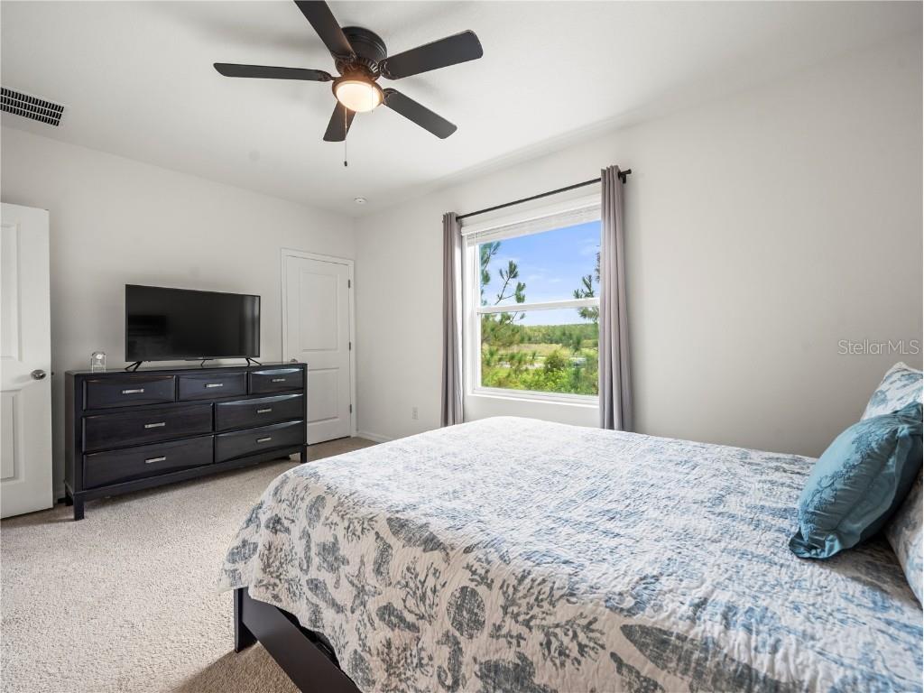 2886 Suncoast Plains Drive Odessa FL 33556 TB8417786 image21