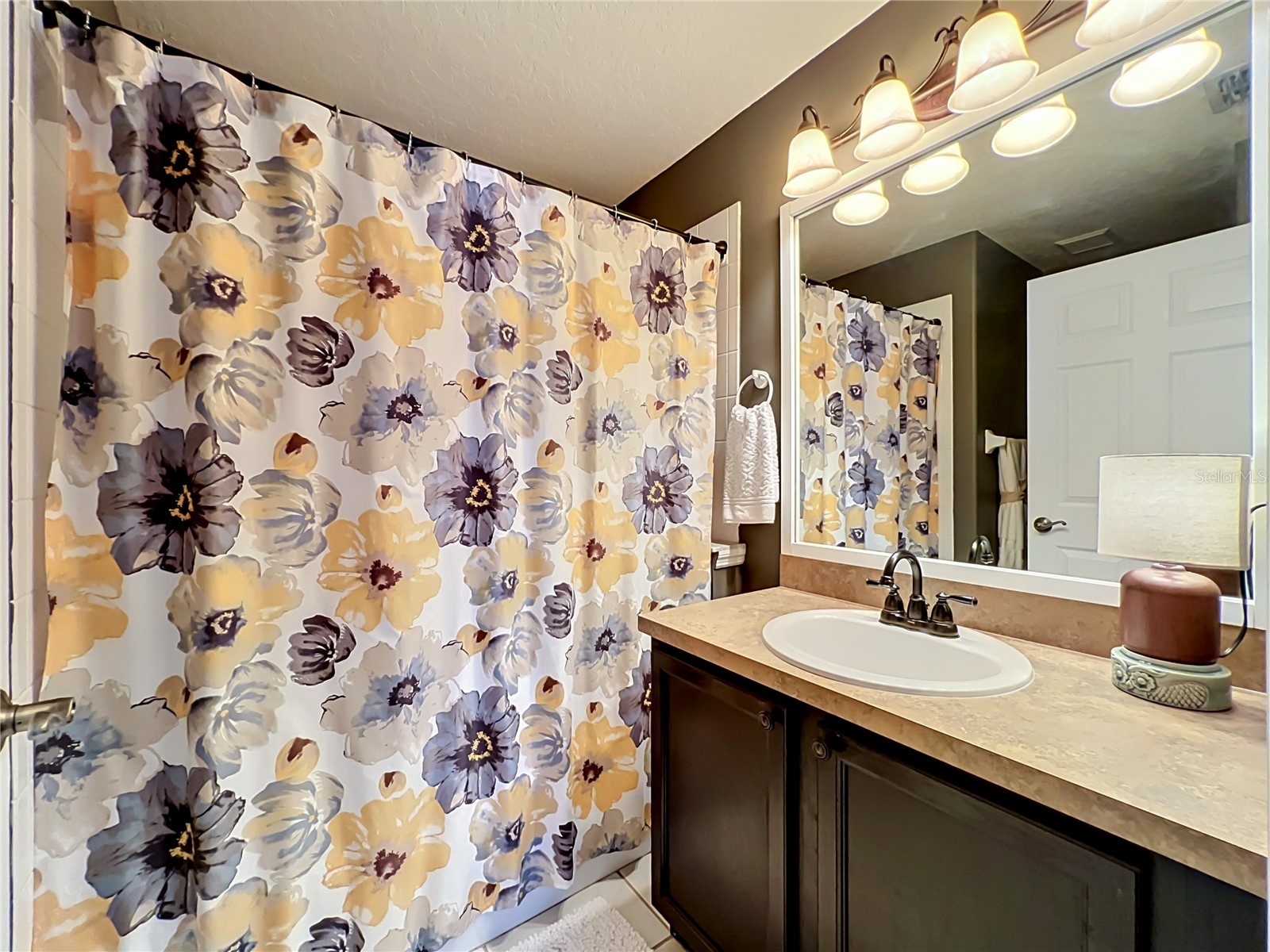 2886 Sweetspire Circle Oviedo FL 32766 O6411924 image49