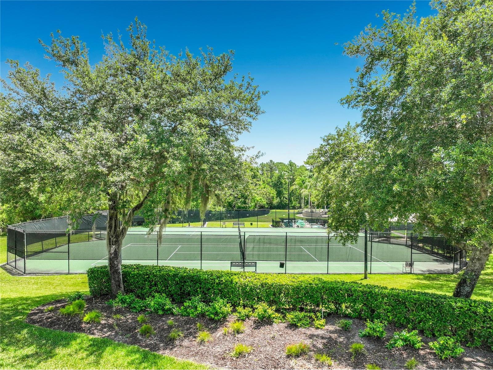 2886 Sweetspire Circle Oviedo FL 32766 O6411924 image77