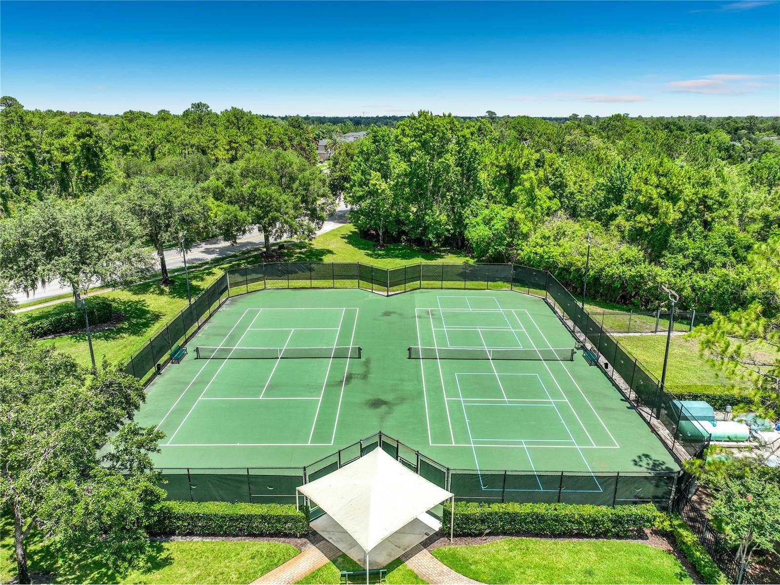 2886 Sweetspire Circle Oviedo FL 32766 O6411924 image79