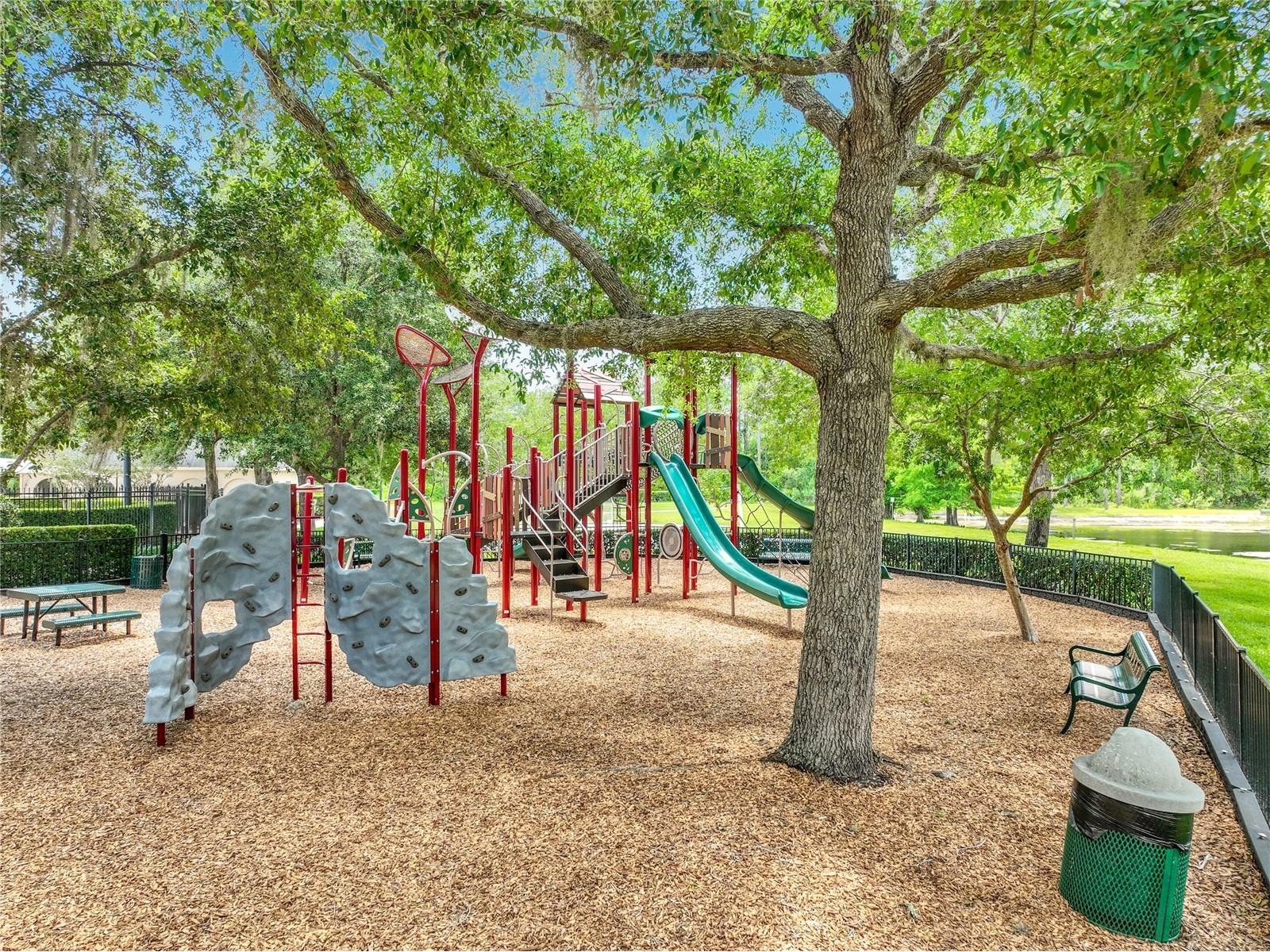 2886 Sweetspire Circle Oviedo FL 32766 O6411924 image82