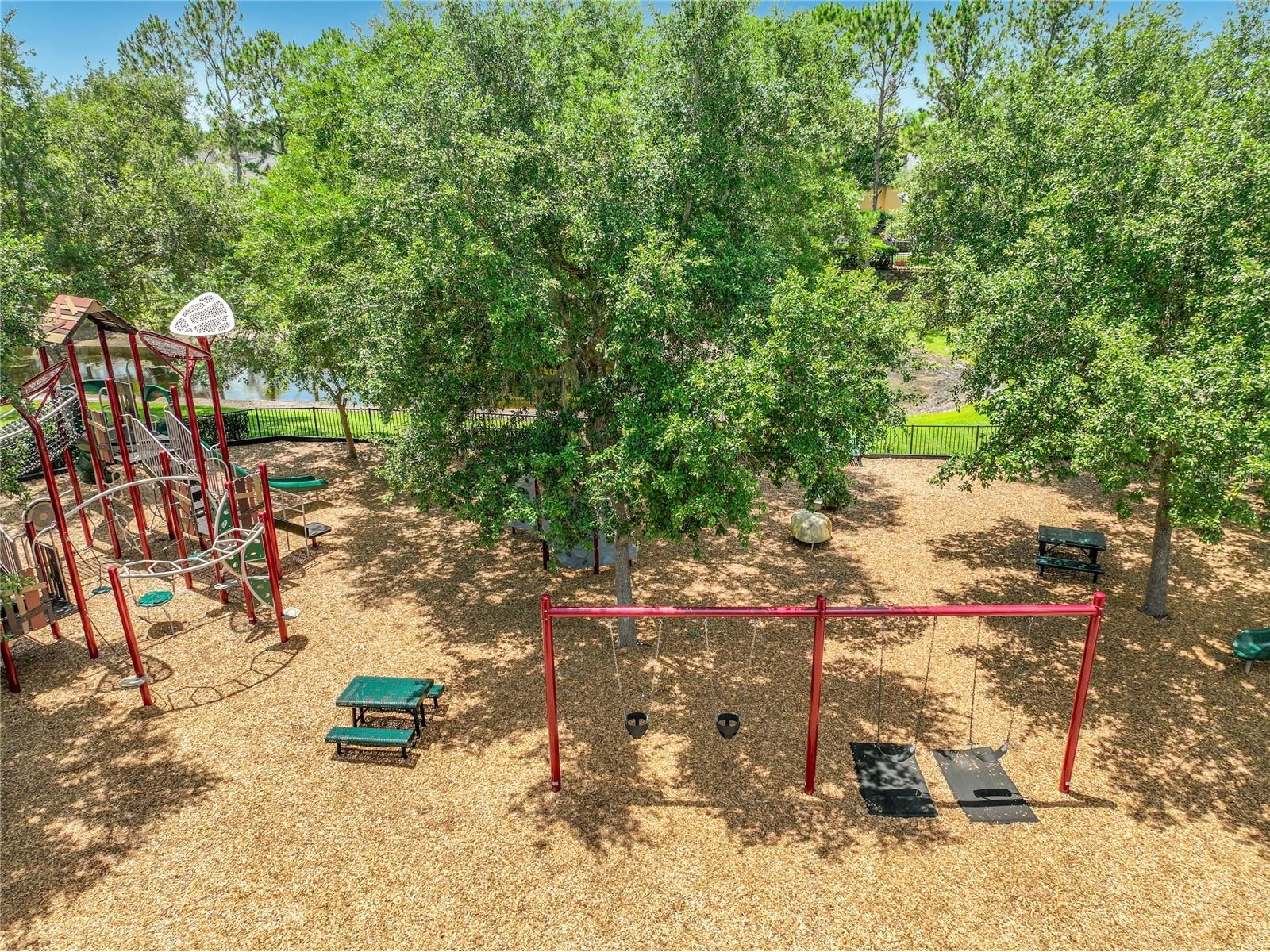 2886 Sweetspire Circle Oviedo FL 32766 O6411924 image83