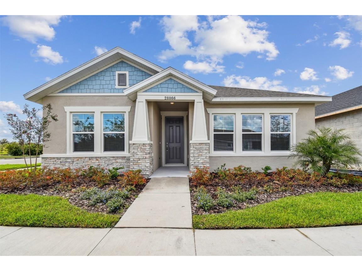 28866 Hillcrest Valley Boulevard Wesley Chapel FL 33543 T3551930 image1