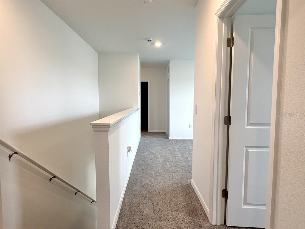 2887 Widewater Way Zephyrhills FL 33541 TB8442000 image21