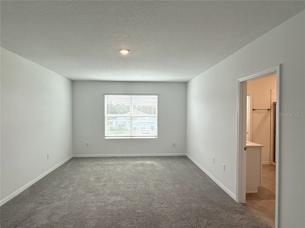 2887 Widewater Way Zephyrhills FL 33541 TB8442000 image24