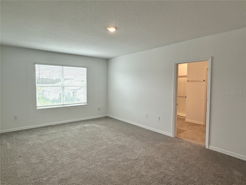 2887 Widewater Way Zephyrhills FL 33541 TB8442000 image25