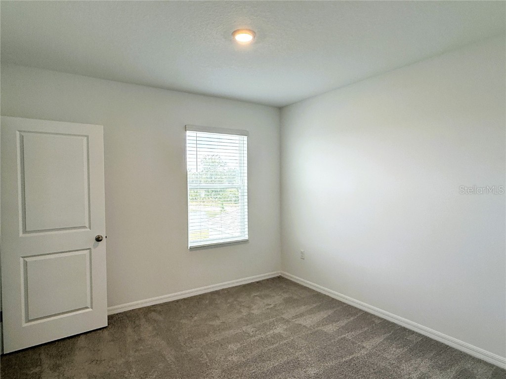 2887 Widewater Way Zephyrhills FL 33541 TB8442000 image35