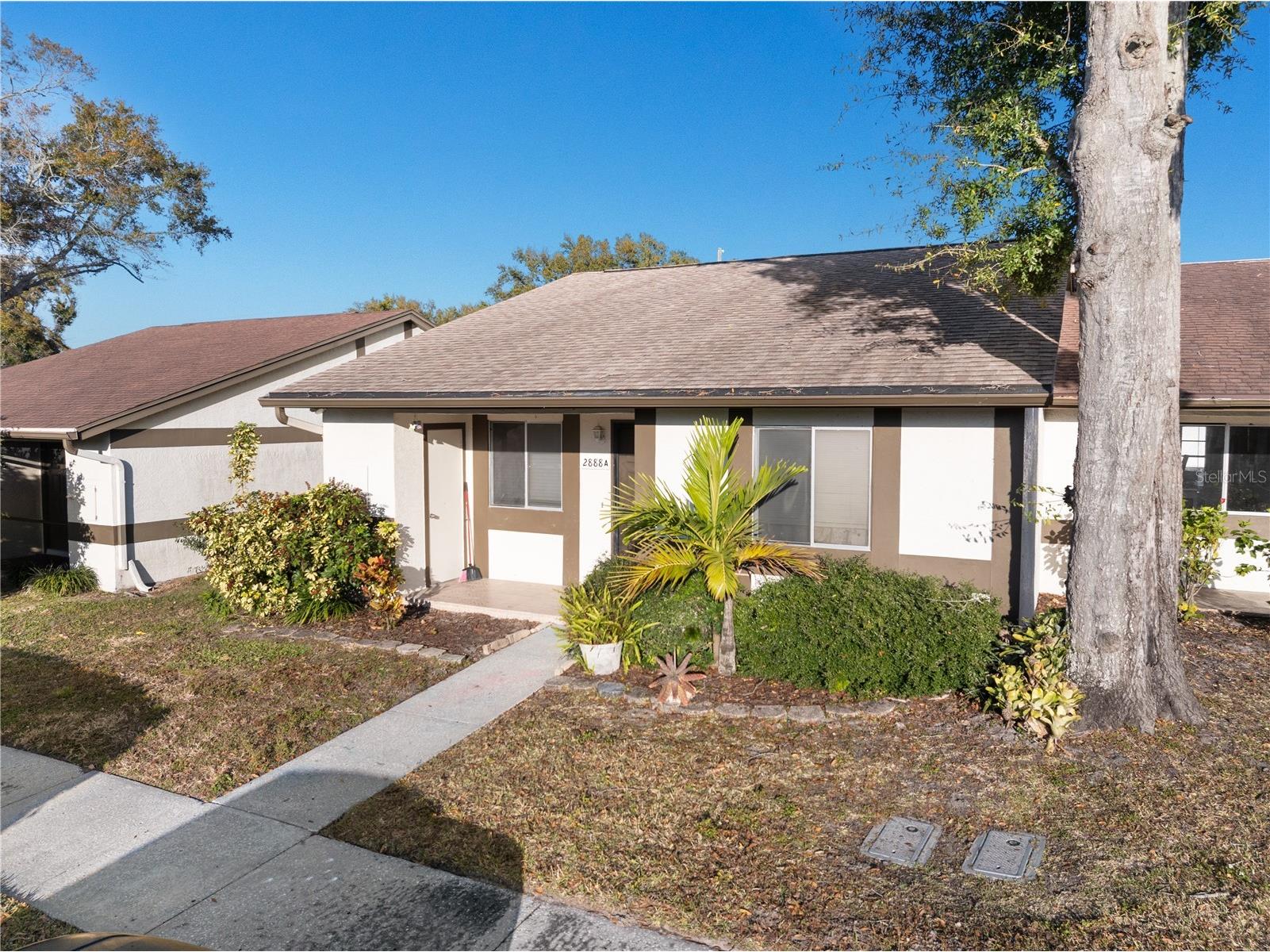 2888 Bancroft Circle E #5A Palm Harbor FL 34683 TB8475918 image2