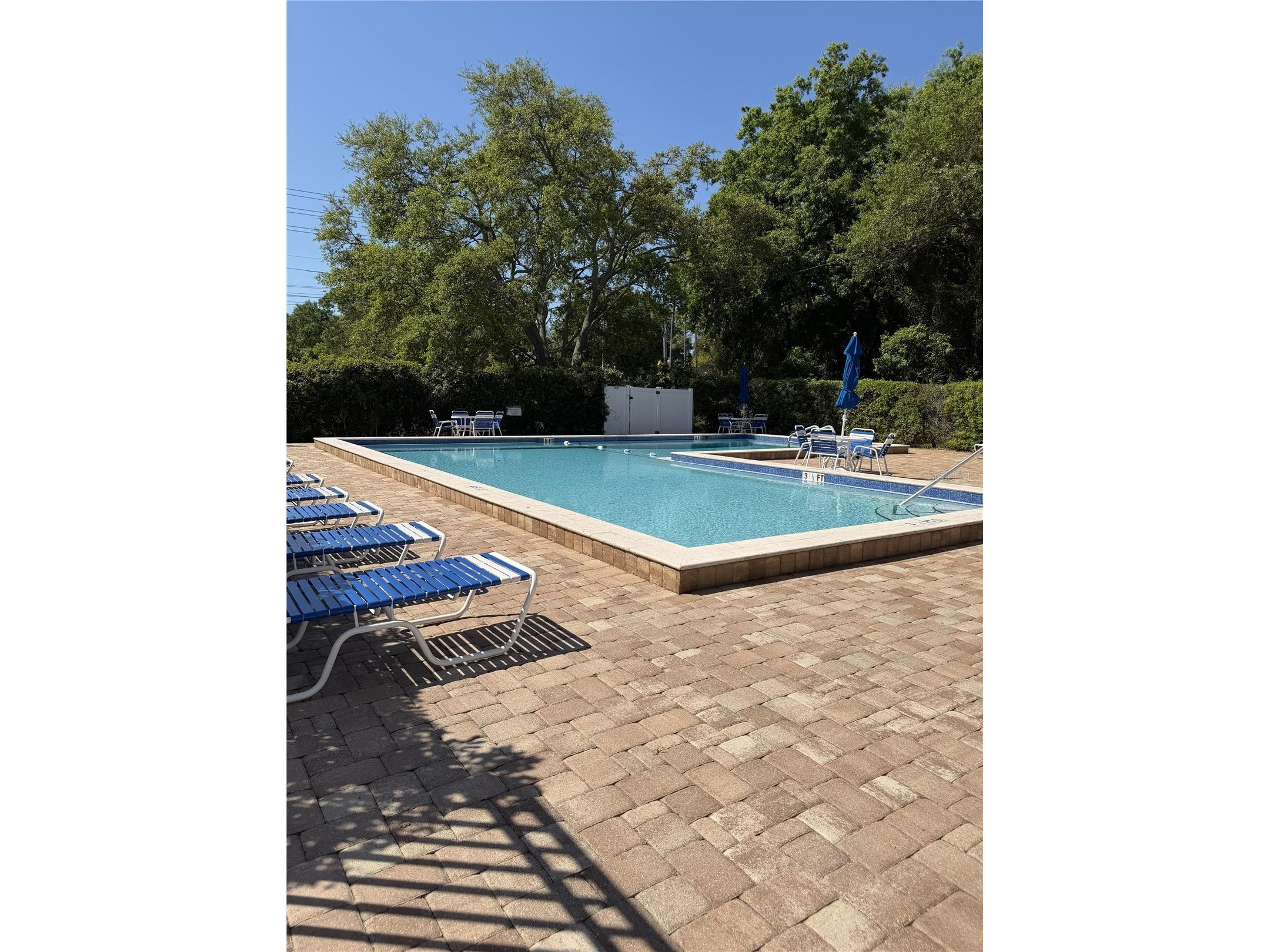 2888 Bancroft Circle E #5A Palm Harbor FL 34683 TB8475918 image34