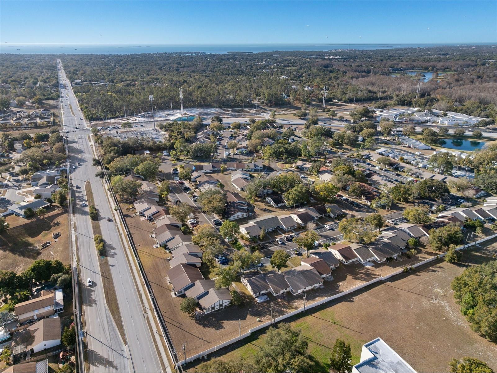 2888 Bancroft Circle E #5A Palm Harbor FL 34683 TB8475918 image38