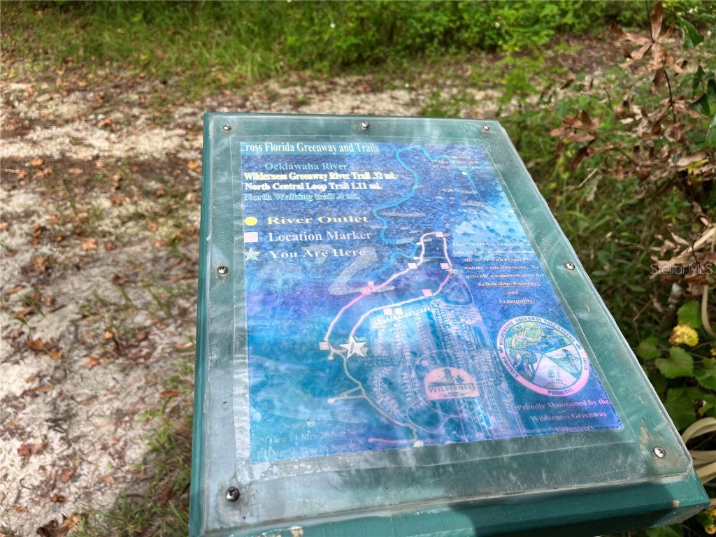 2888 NE 102nd Terrace Silver Springs FL 34488 - LAKE OCKLAWAHA O6229503 image35