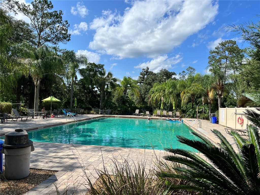 2888 NE 102nd Terrace Silver Springs FL 34488 - LAKE OCKLAWAHA O6229503 image40