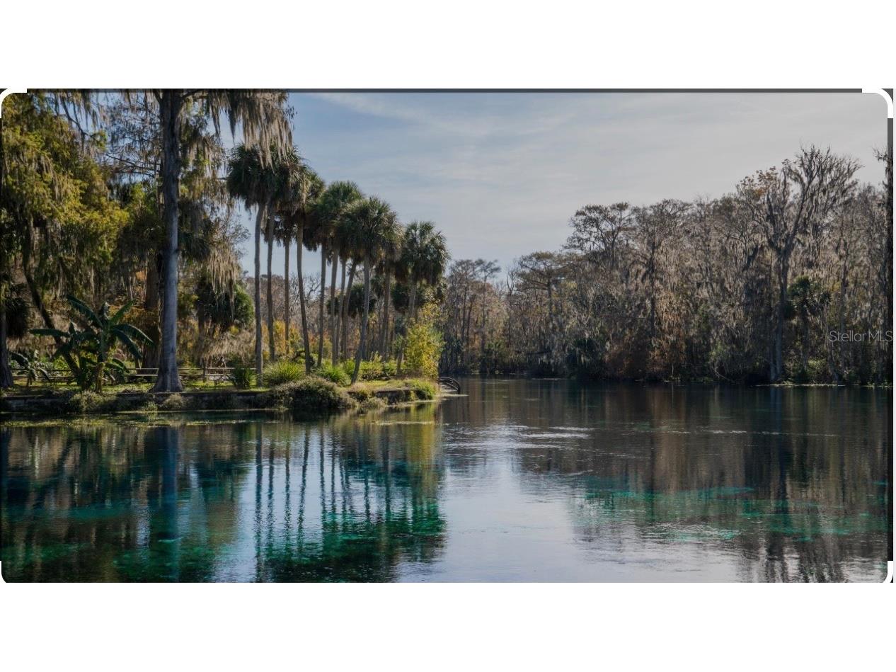 2888 NE 102nd Terrace Silver Springs FL 34488 - LAKE OCKLAWAHA O6229503 image53