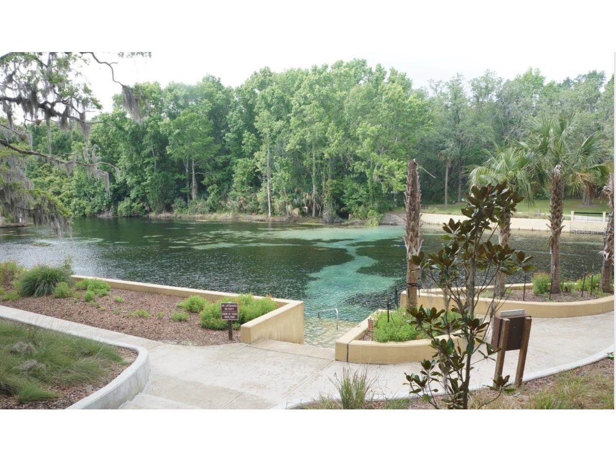 2888 NE 102nd Terrace Silver Springs FL 34488 - LAKE OCKLAWAHA O6229503 image55