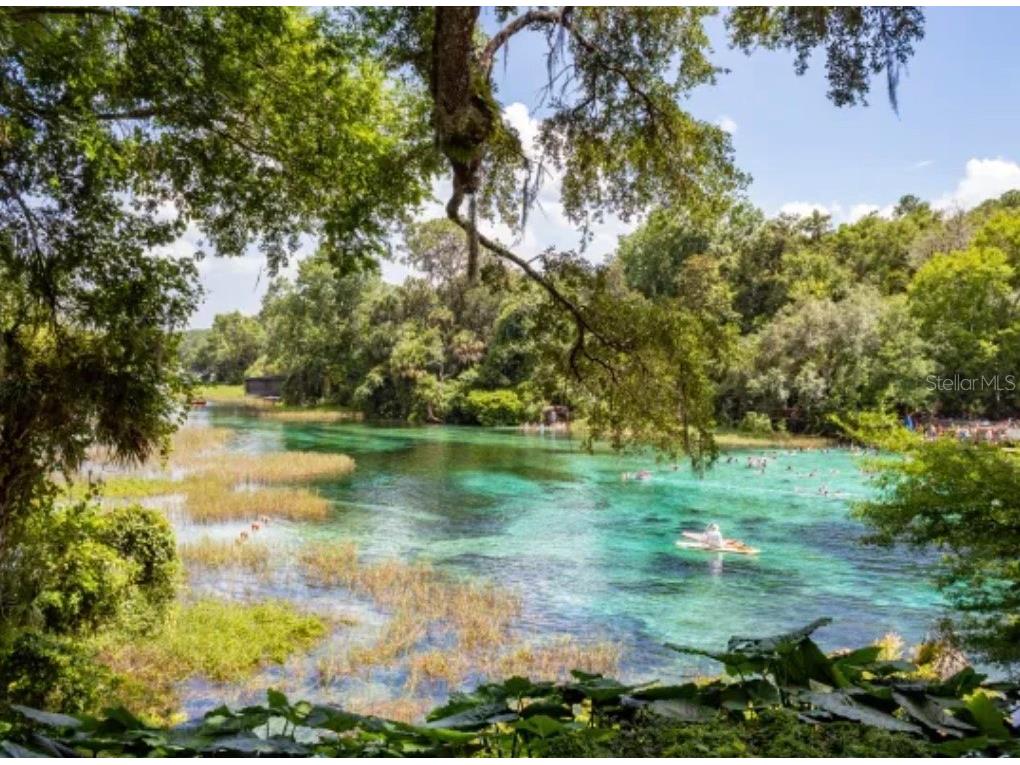 2888 NE 102nd Terrace Silver Springs FL 34488 - LAKE OCKLAWAHA O6229503 image57