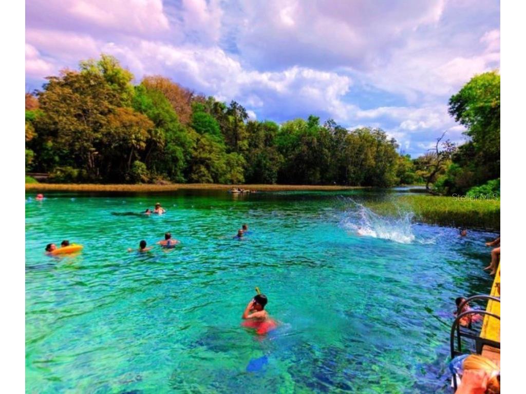 2888 NE 102nd Terrace Silver Springs FL 34488 - LAKE OCKLAWAHA O6229503 image58