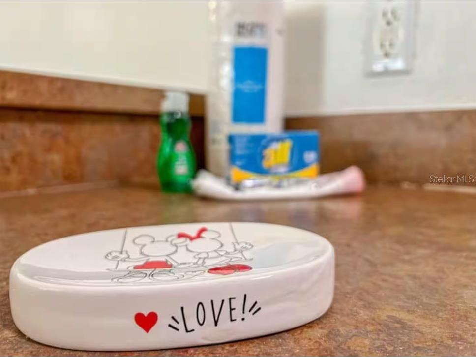 2888 Oakwater Drive #2888 Kissimmee FL 34747 O6355016 image21