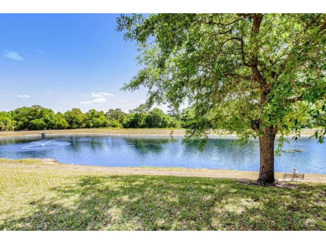 2888 Oakwater Drive #2888 Kissimmee FL 34747 O6355016 image29