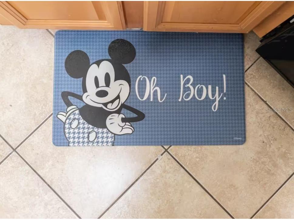 2888 Oakwater Drive #2888 Kissimmee FL 34747 O6355016 image9