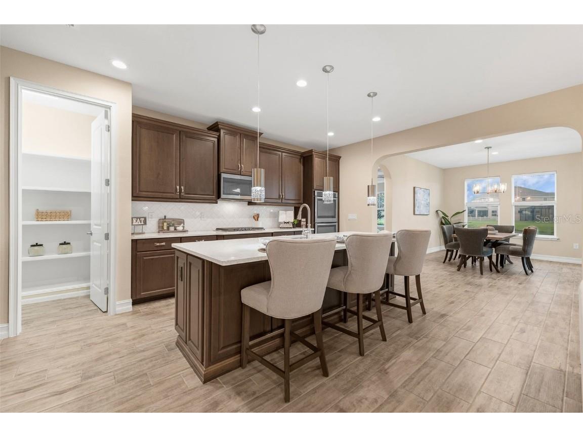 28883 Revaro Lane Wesley Chapel FL 33543 O6338576 image18