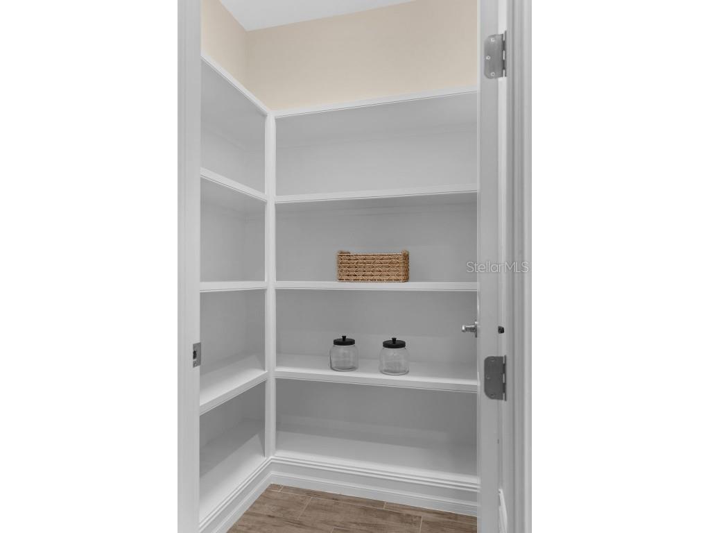 28883 Revaro Lane Wesley Chapel FL 33543 O6338576 image19