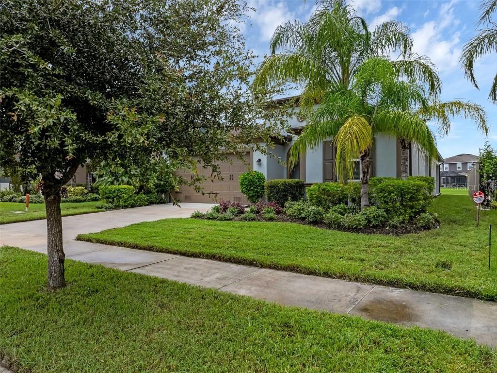 28883 Revaro Lane Wesley Chapel FL 33543 O6338576 image2