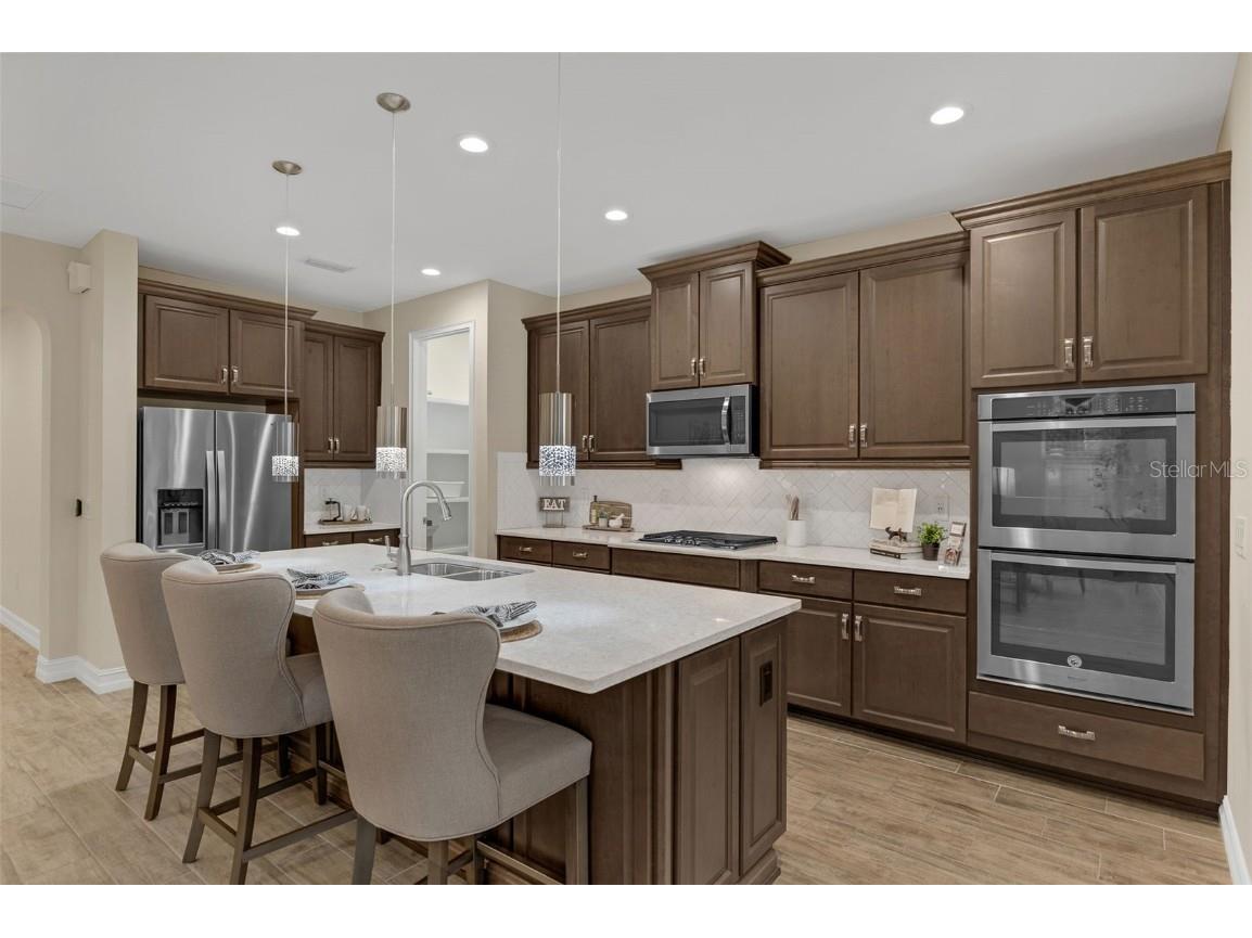 28883 Revaro Lane Wesley Chapel FL 33543 O6338576 image21