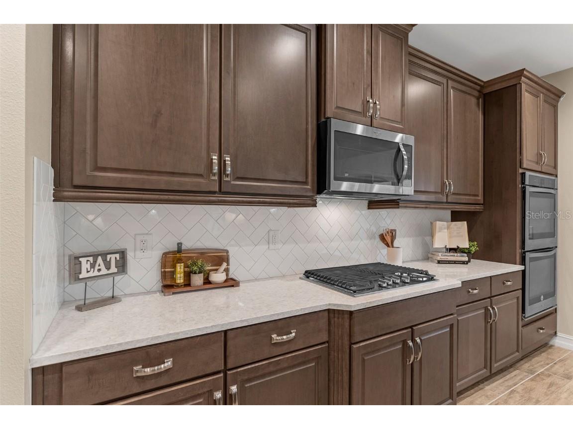 28883 Revaro Lane Wesley Chapel FL 33543 O6338576 image23