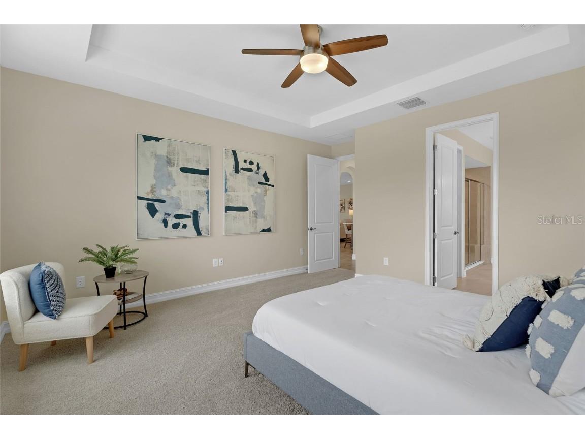 28883 Revaro Lane Wesley Chapel FL 33543 O6338576 image26