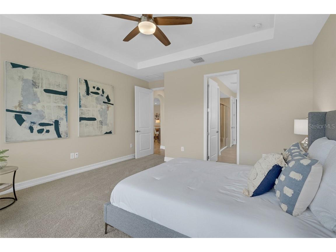 28883 Revaro Lane Wesley Chapel FL 33543 O6338576 image27