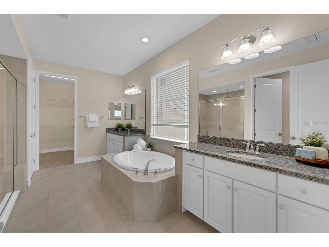 28883 Revaro Lane Wesley Chapel FL 33543 O6338576 image29