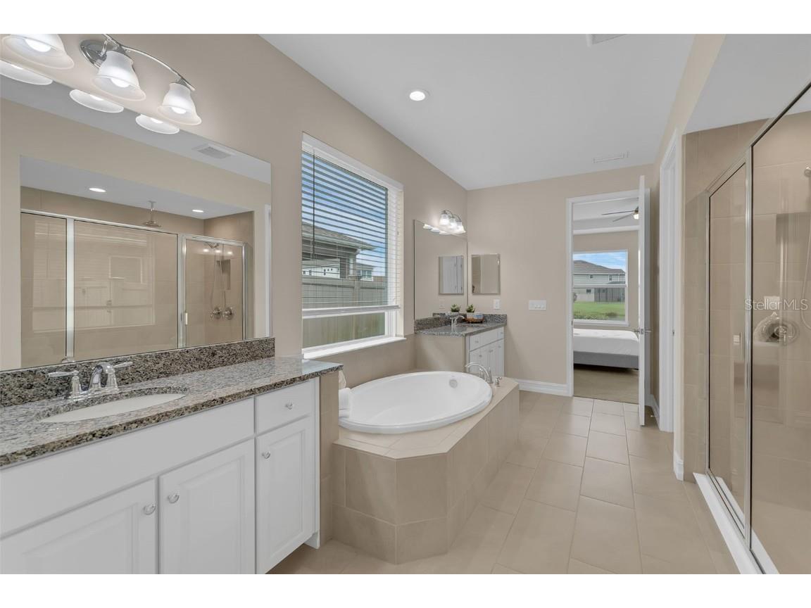 28883 Revaro Lane Wesley Chapel FL 33543 O6338576 image31