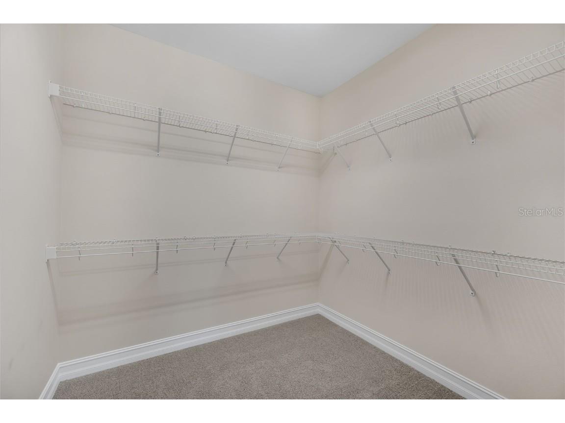 28883 Revaro Lane Wesley Chapel FL 33543 O6338576 image32