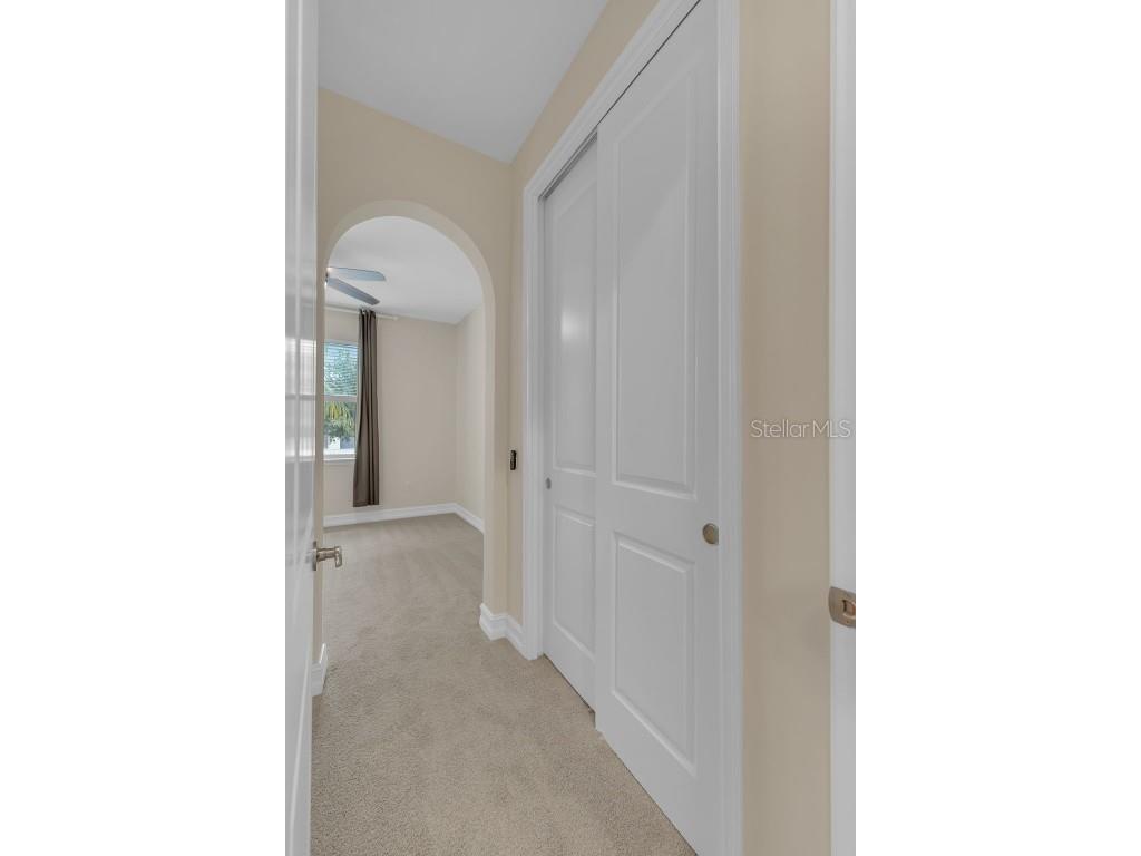 28883 Revaro Lane Wesley Chapel FL 33543 O6338576 image33