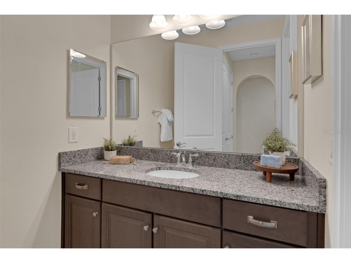 28883 Revaro Lane Wesley Chapel FL 33543 O6338576 image37