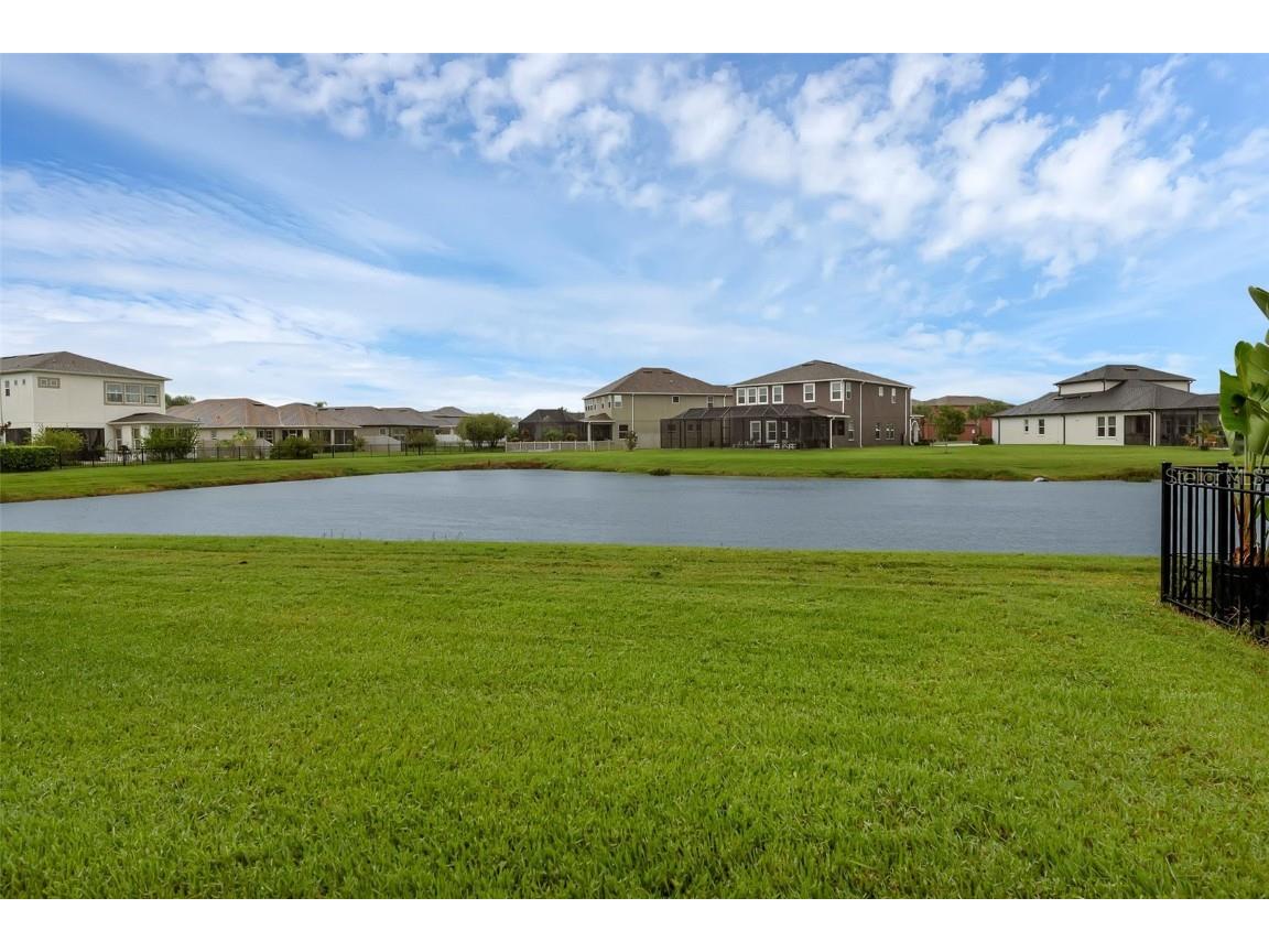 28883 Revaro Lane Wesley Chapel FL 33543 O6338576 image46