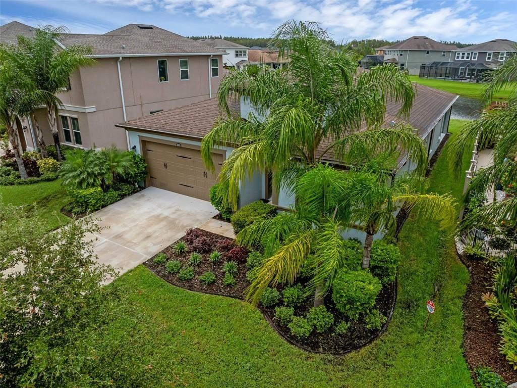 28883 Revaro Lane Wesley Chapel FL 33543 O6338576 image47