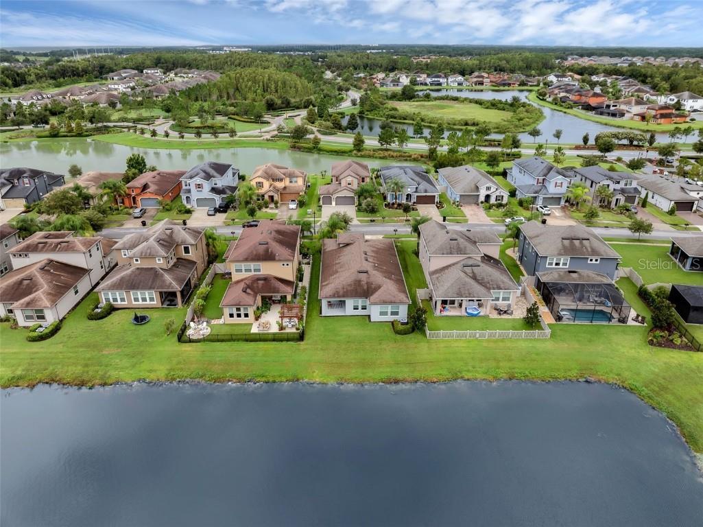 28883 Revaro Lane Wesley Chapel FL 33543 O6338576 image54