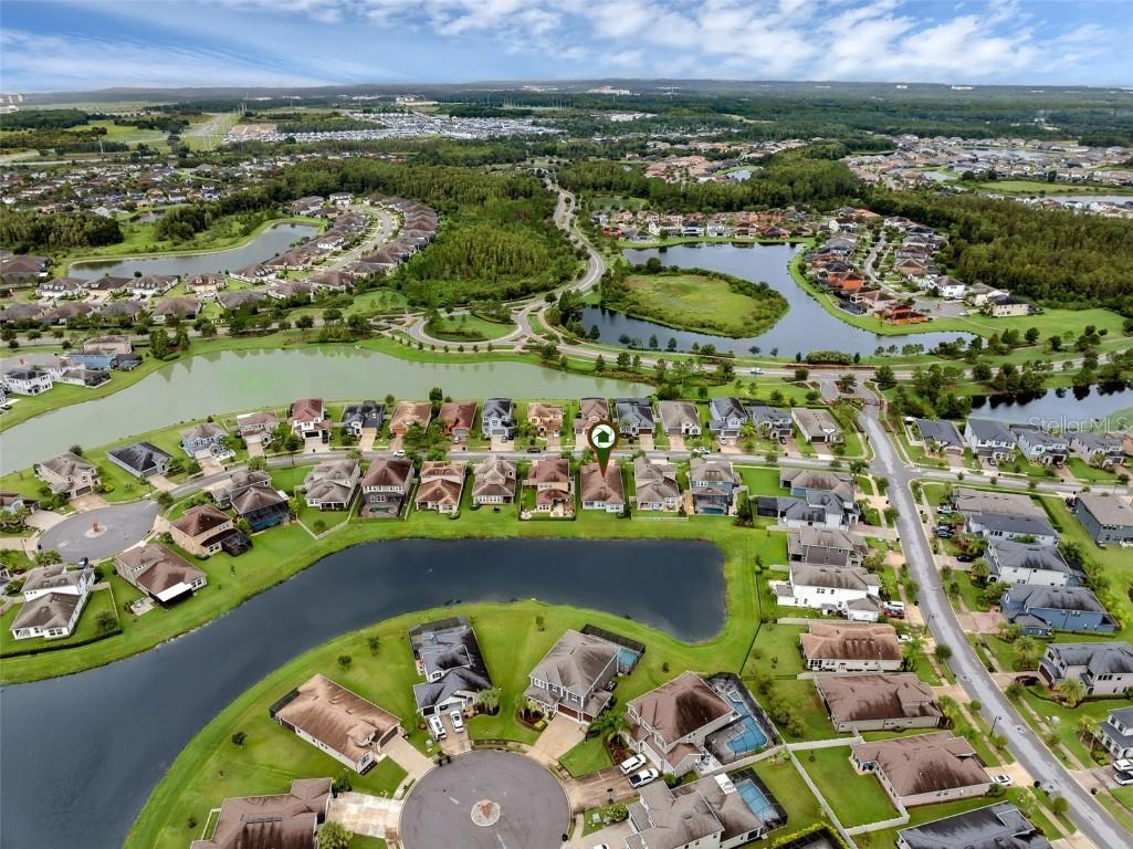 28883 Revaro Lane Wesley Chapel FL 33543 O6338576 image57