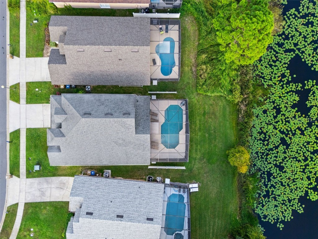 2889 Blooming Alamanda Loop Kissimmee FL 34747 S5136858 image70