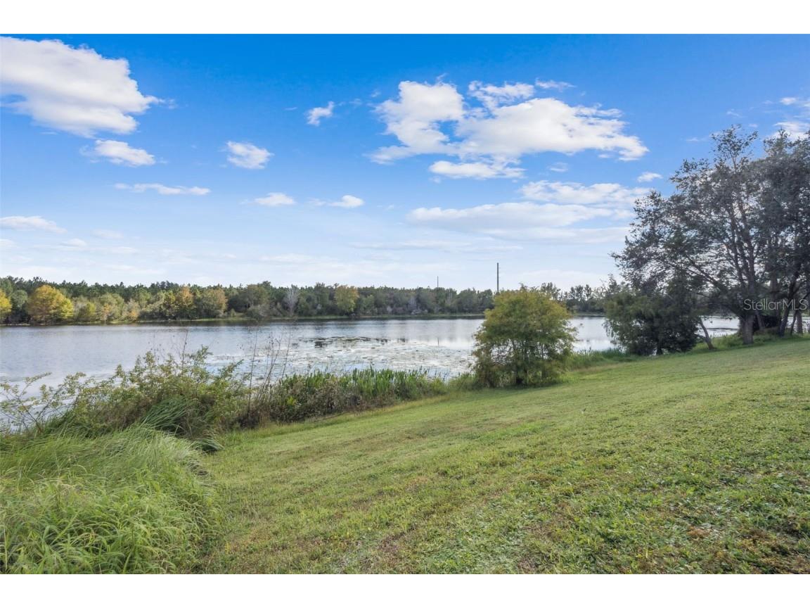 2889 Blooming Alamanda Loop Kissimmee FL 34747 S5136858 image77
