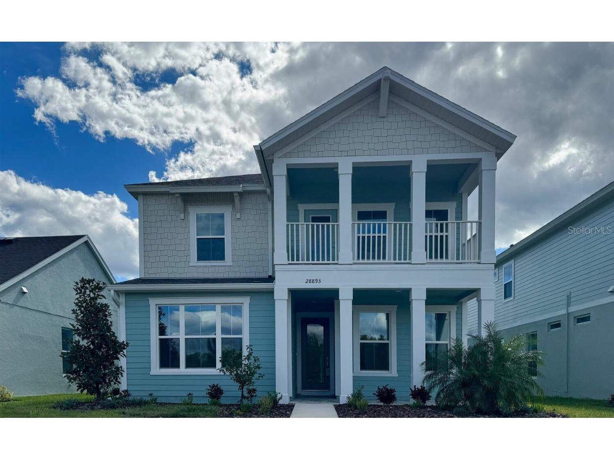 28893 Seedling Street Wesley Chapel FL 33543 T3470586 image1