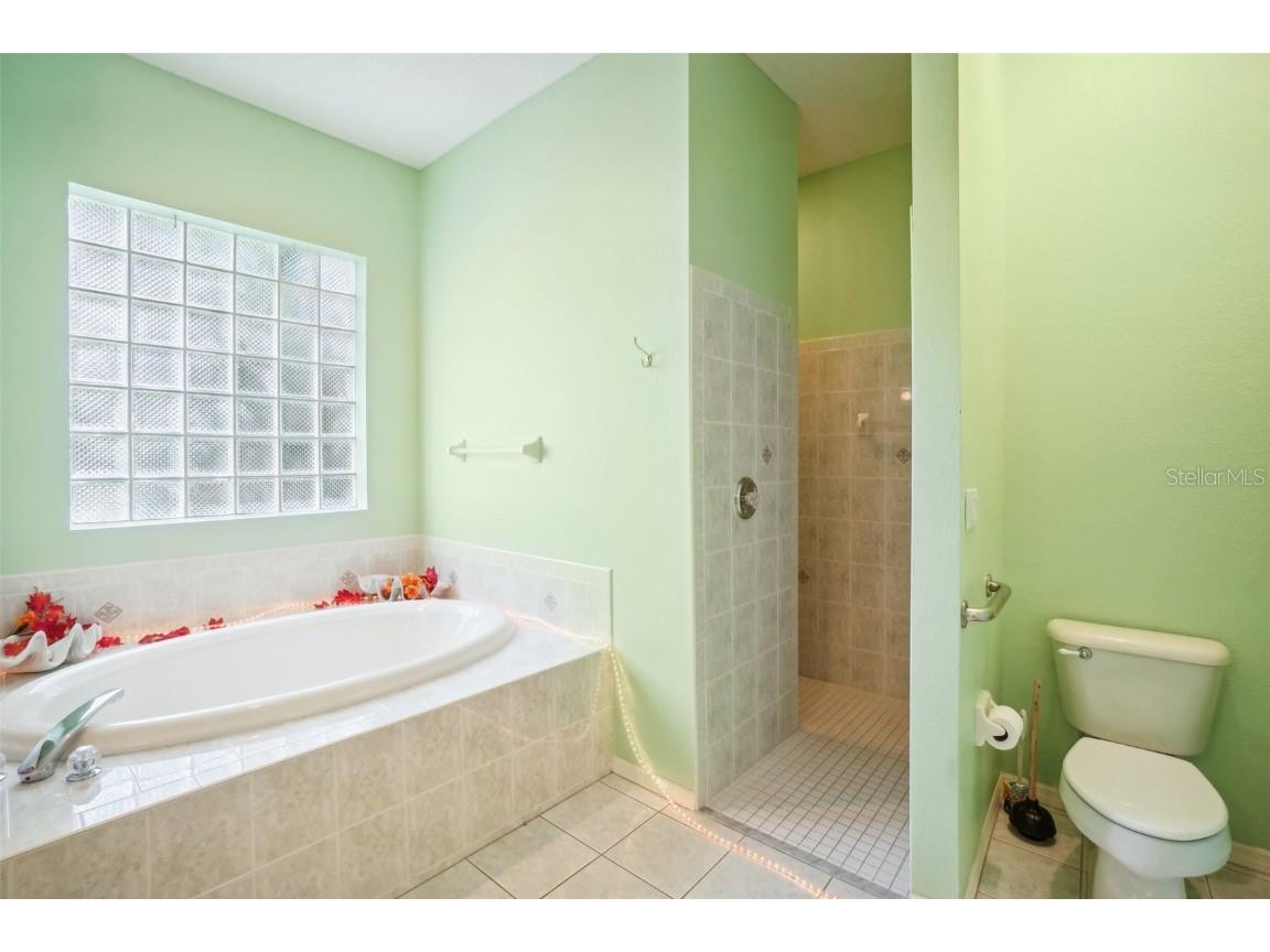 289 Dandelion Court Spring Hill FL 34606 TB8307981 image21