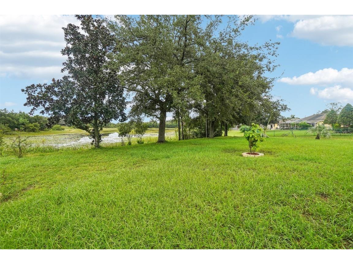 289 Dandelion Court Spring Hill FL 34606 TB8307981 image33