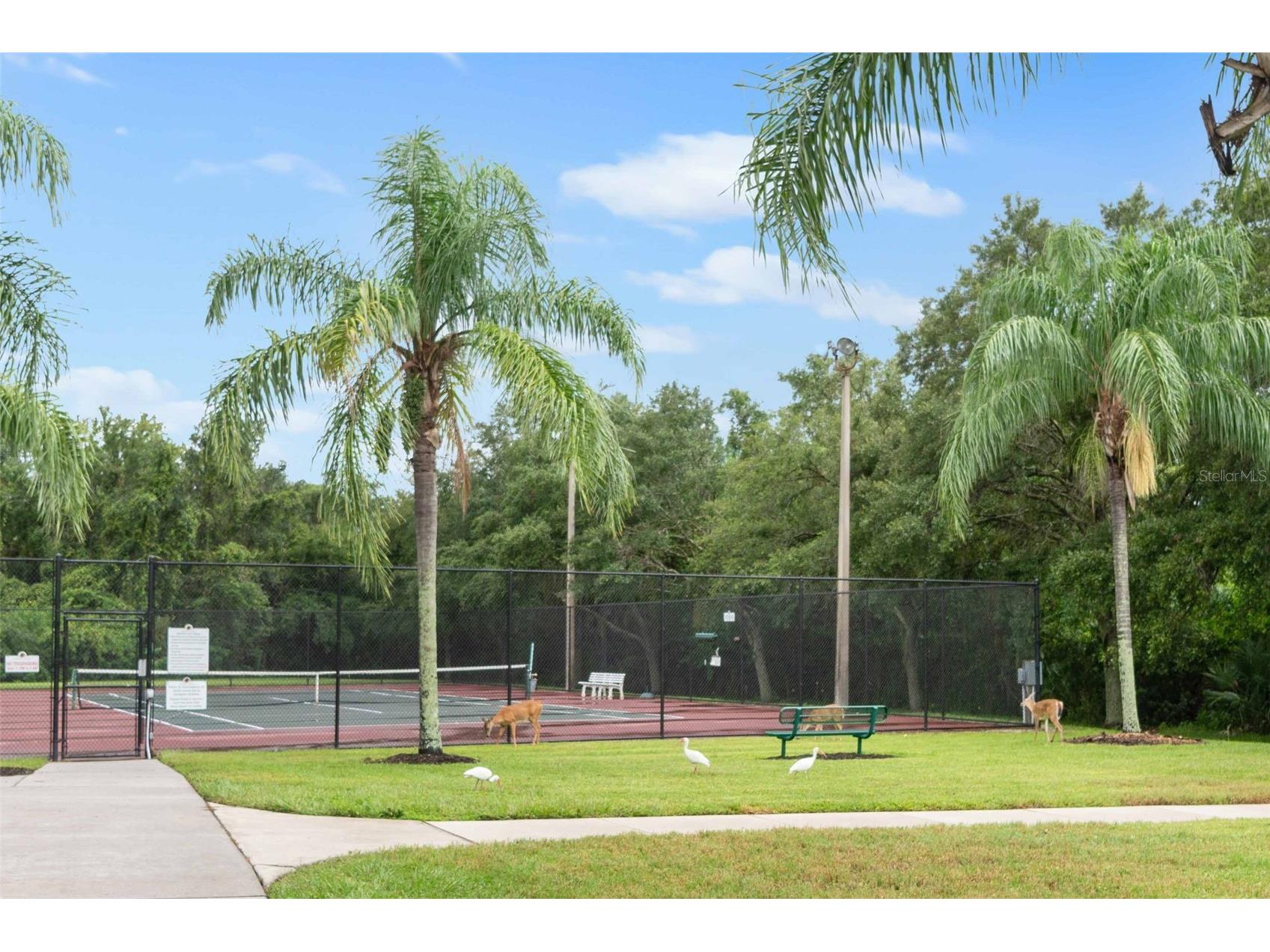 289 Petrel Trail Bradenton FL 34212 A4699316 image72