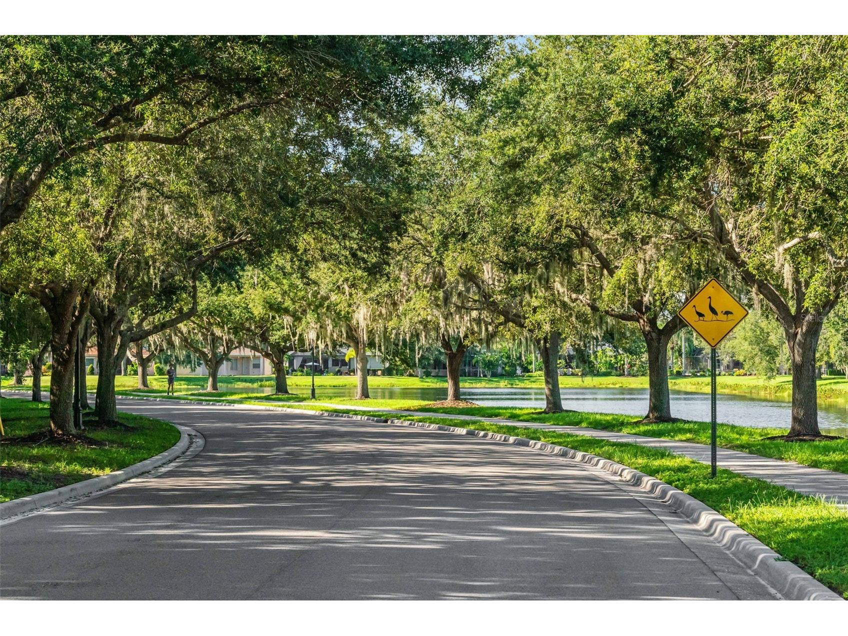 289 Petrel Trail Bradenton FL 34212 A4699316 image84