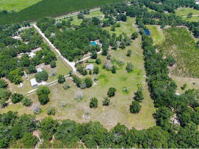 289 SW Puritan Place Lake City FL 32024 GC540419 image5