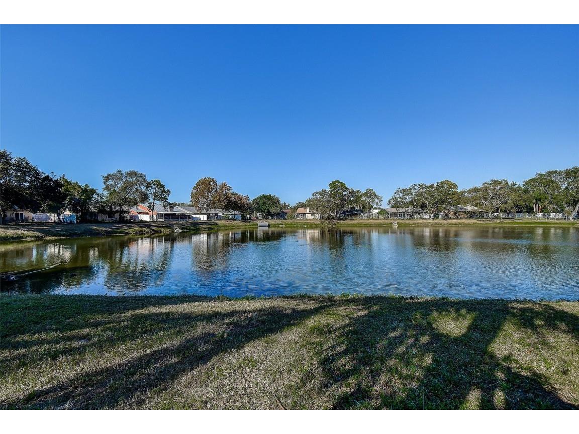 289 Whisper Lake Road Palm Harbor FL 34683 TB8447900 image30