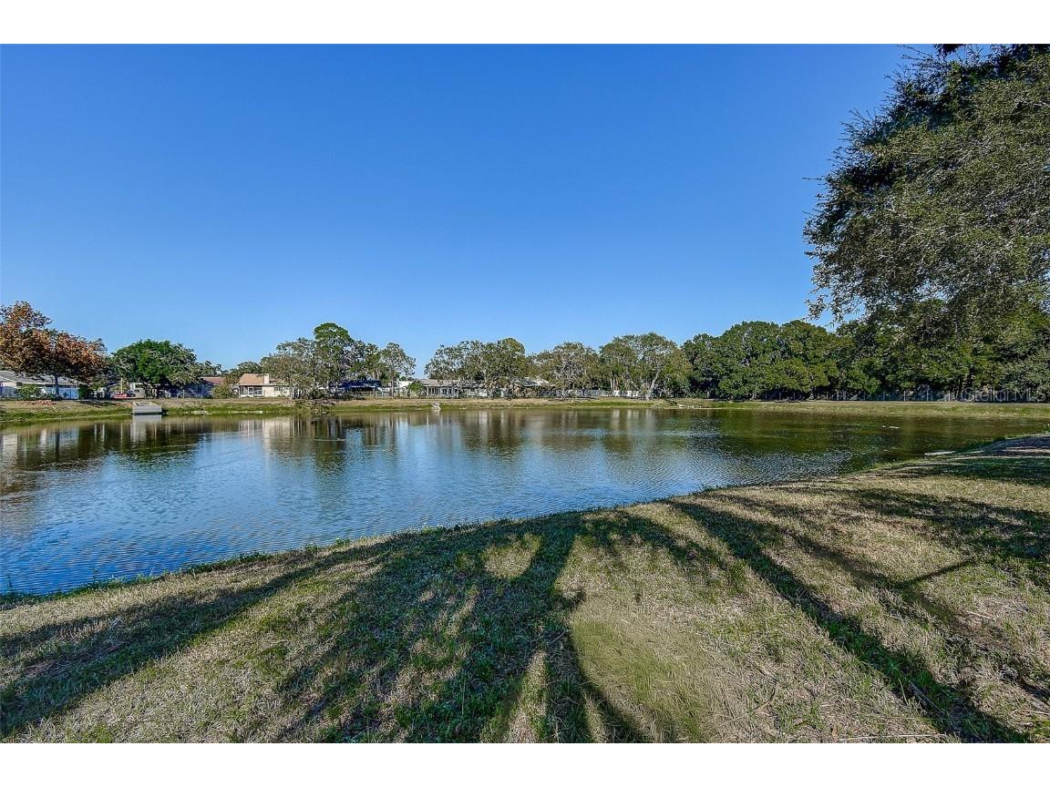 289 Whisper Lake Road Palm Harbor FL 34683 TB8447900 image31